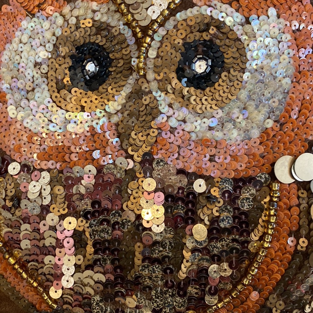 NEW. Pier 1 Pillow with Owl. 🦉 - Picture 9 of 16